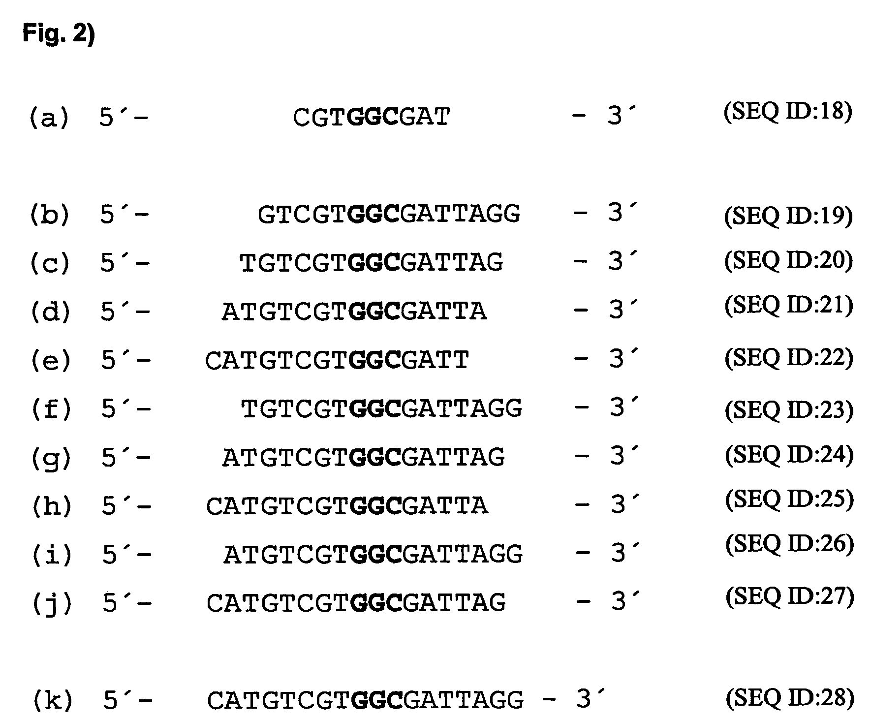 Antisense oligonucleotides against VR1