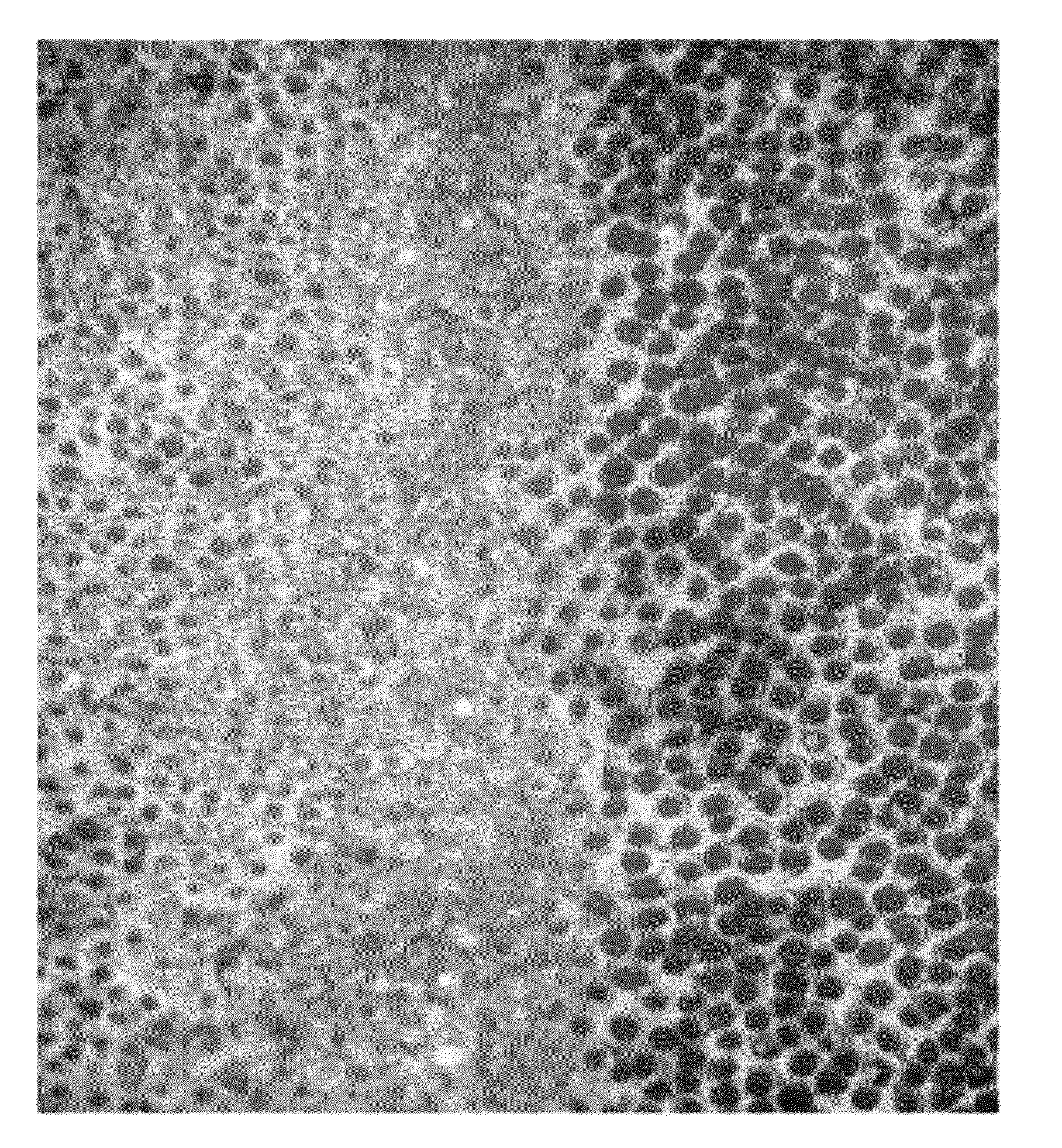 Agent for protection of tooth surfaces, in conjunction with conventional bleaching methods, by biomimetic deposition of fluorapatite