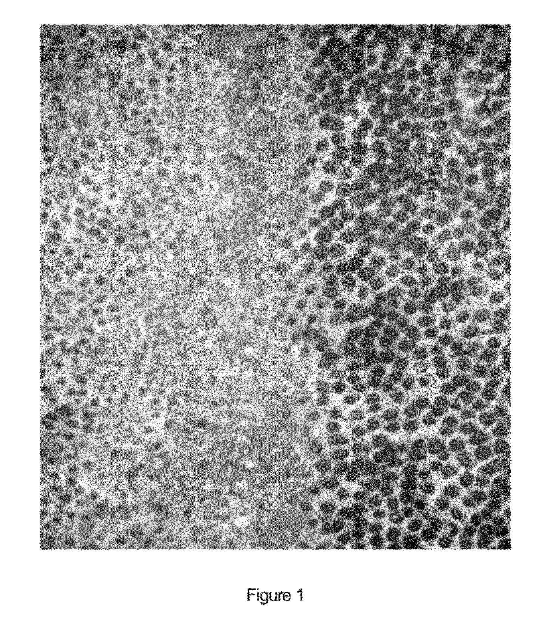 Agent for protection of tooth surfaces, in conjunction with conventional bleaching methods, by biomimetic deposition of fluorapatite