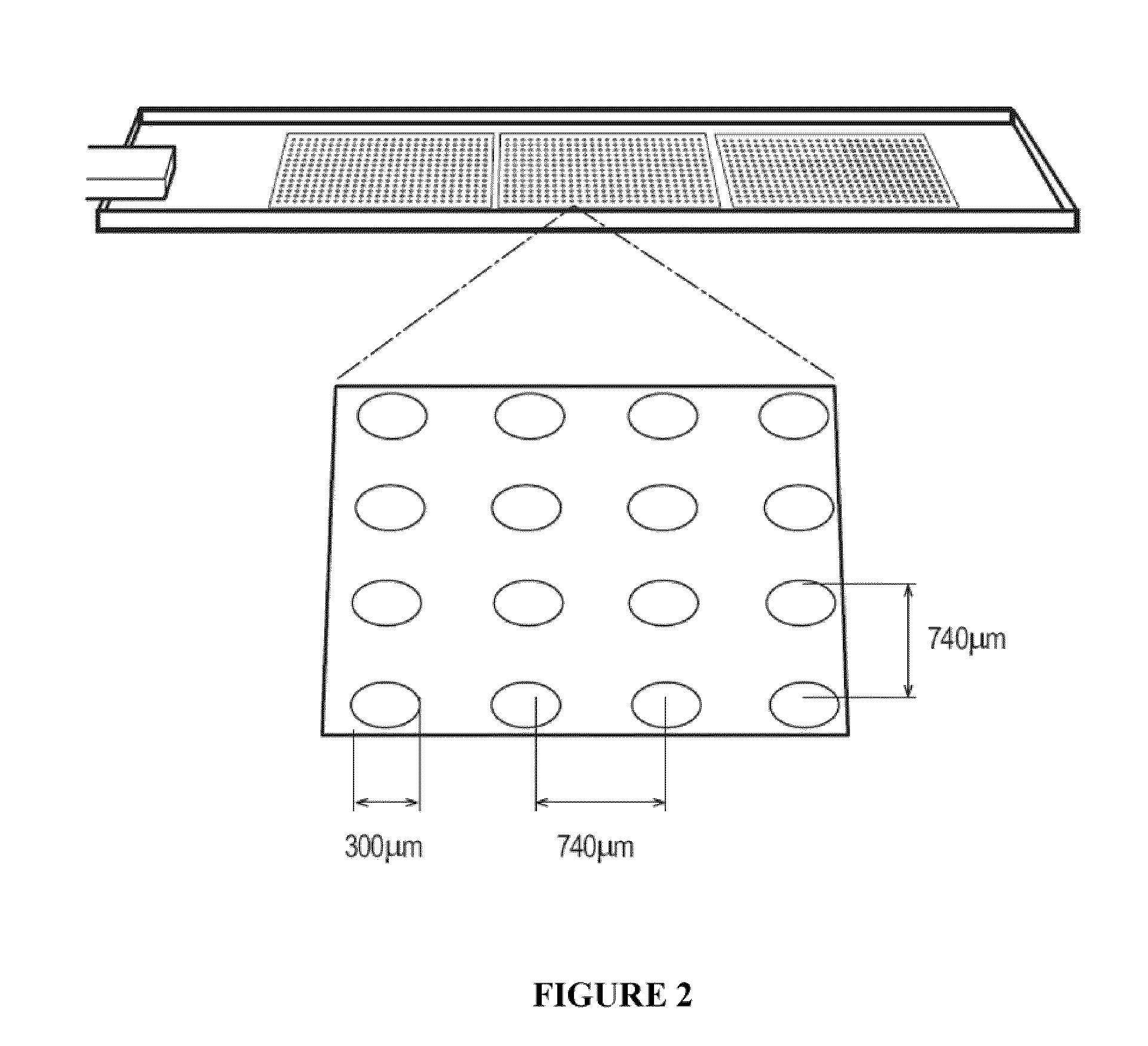 Substrates and methods for culturing stem cells