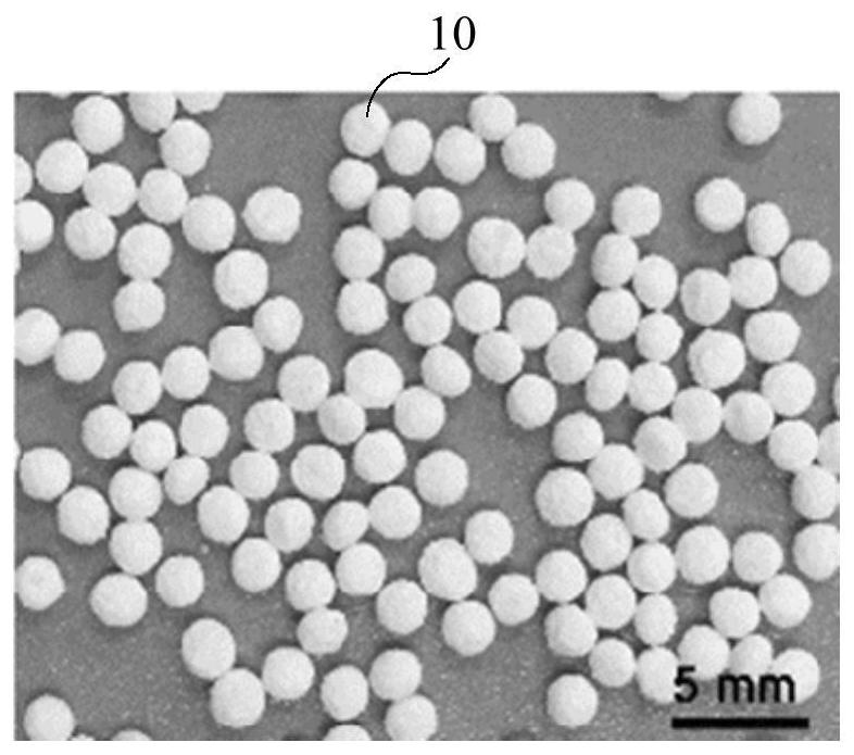 Degradable artificial bone particles with core-shell structure and preparation method thereof