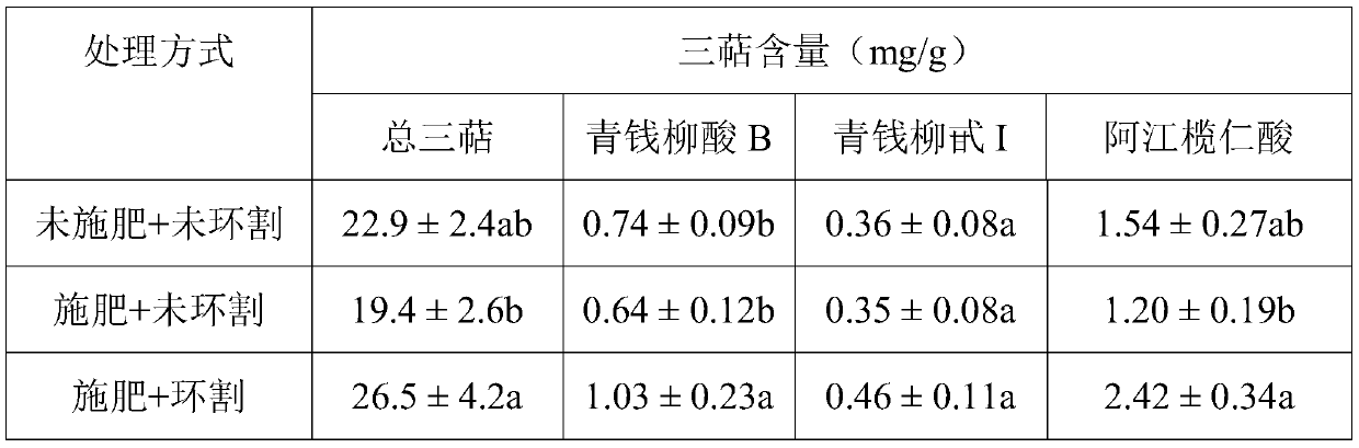 Cyclocarya paliurus cultivation method for increasing content of secondary metabolites in cyclocarya paliurus leaves