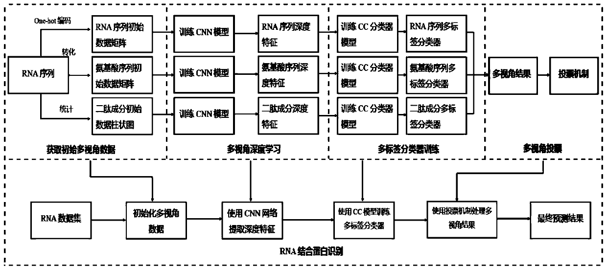 RNA binding protein recognition method based on multi-view depth features and multi-label learning