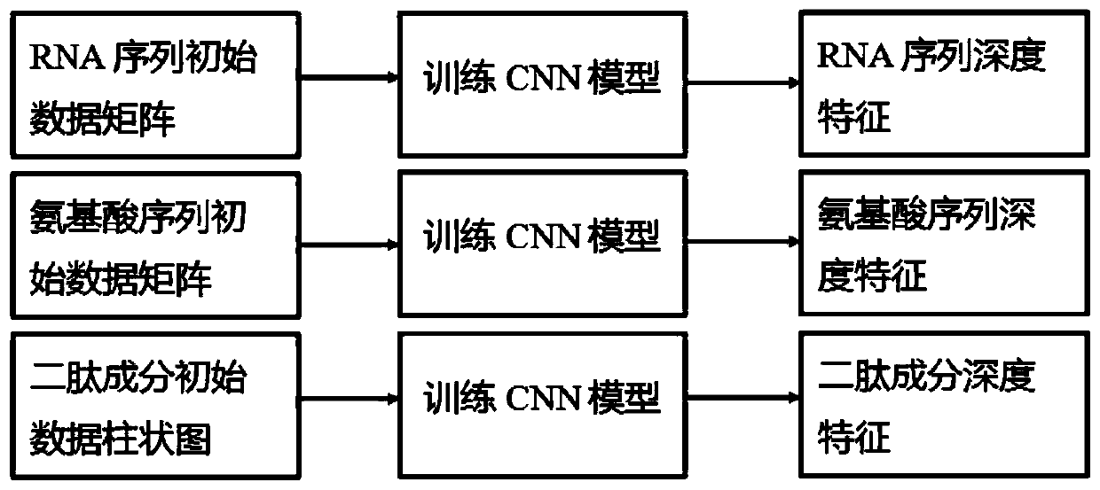 RNA binding protein recognition method based on multi-view depth features and multi-label learning