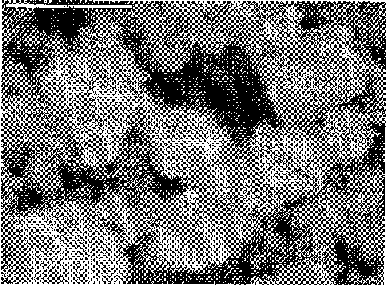 Preparation of composite double microporous material