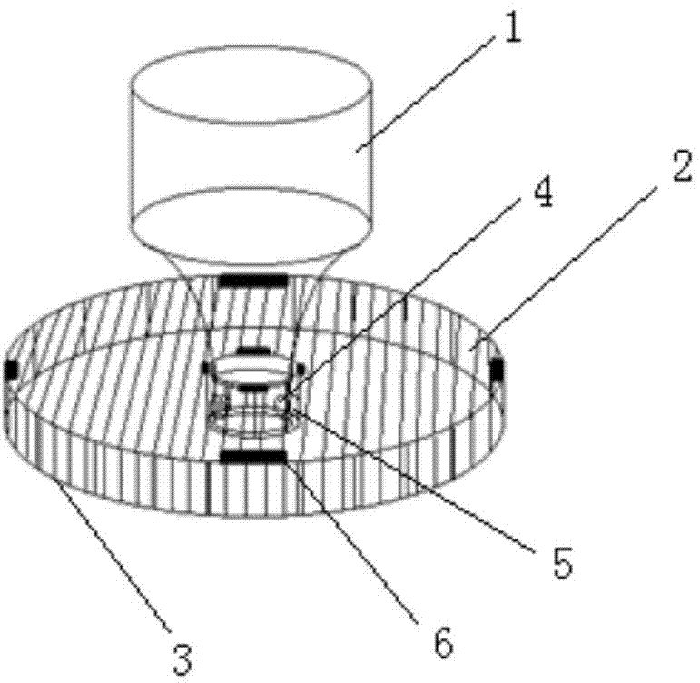 Water supply device for breeding insects