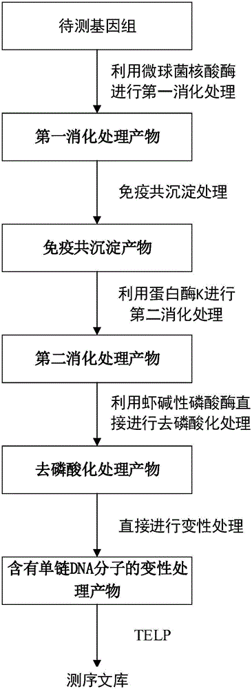 Method for constructing DNA sequencing library of genome under detection and application of method