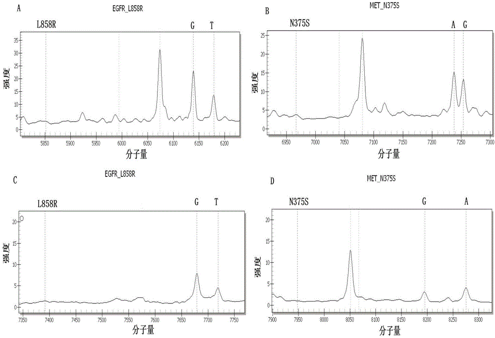 Lung cancer gene spectrum detection method and kit based on Mass ARRAY platform Iplex analysis and application of kit