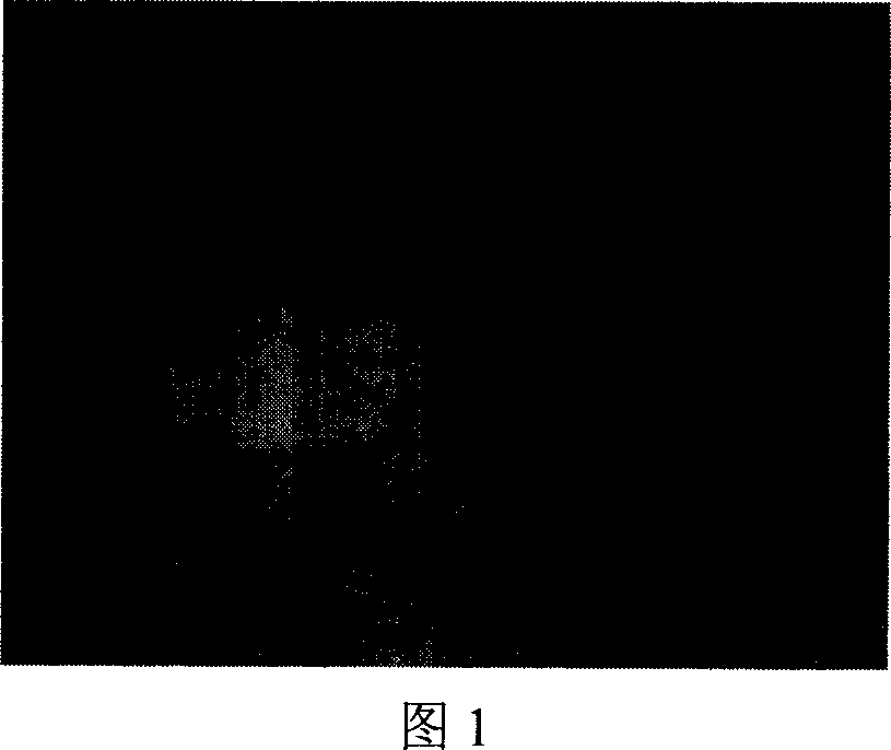 Surface treatment process for iron-base sintered metal piece