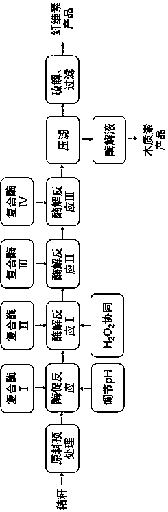 Straw fiber and process for separating straw fiber by bio-enzyme method