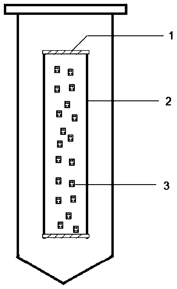 Method for preparing nucleases P1 by using fossilized penicillium citrinum