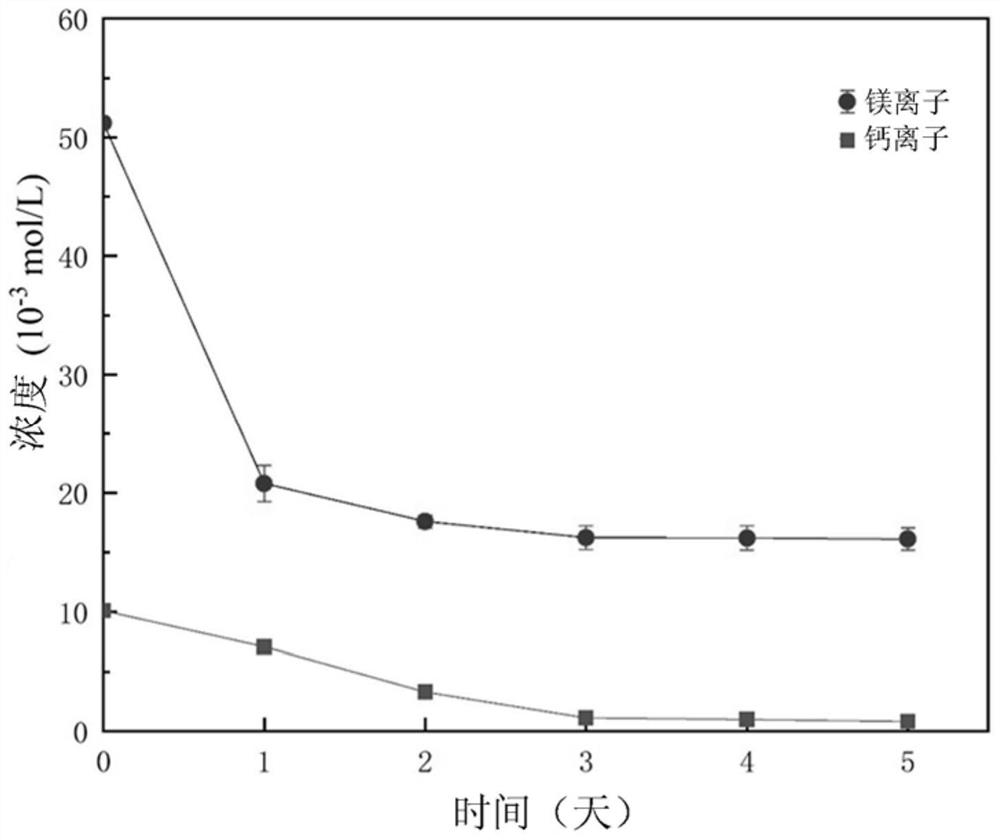 A method for reducing calcium and magnesium ion content in seawater, microbial scale inhibitor and use