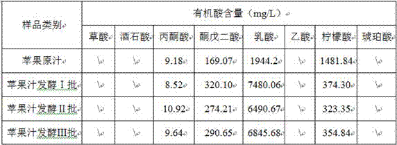 Method for fermenting concentrated apple juice with composite lactic acid bacteria and fermented fruit juice