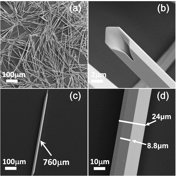 Single selenium micron tube photoelectric detector, and preparation method and responsivity reinforcement method therefor