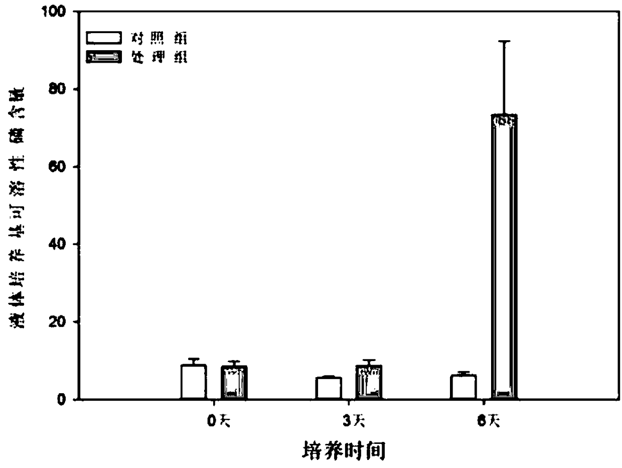 Preparation method of phosphate-solubilizing microbial agent and application thereof