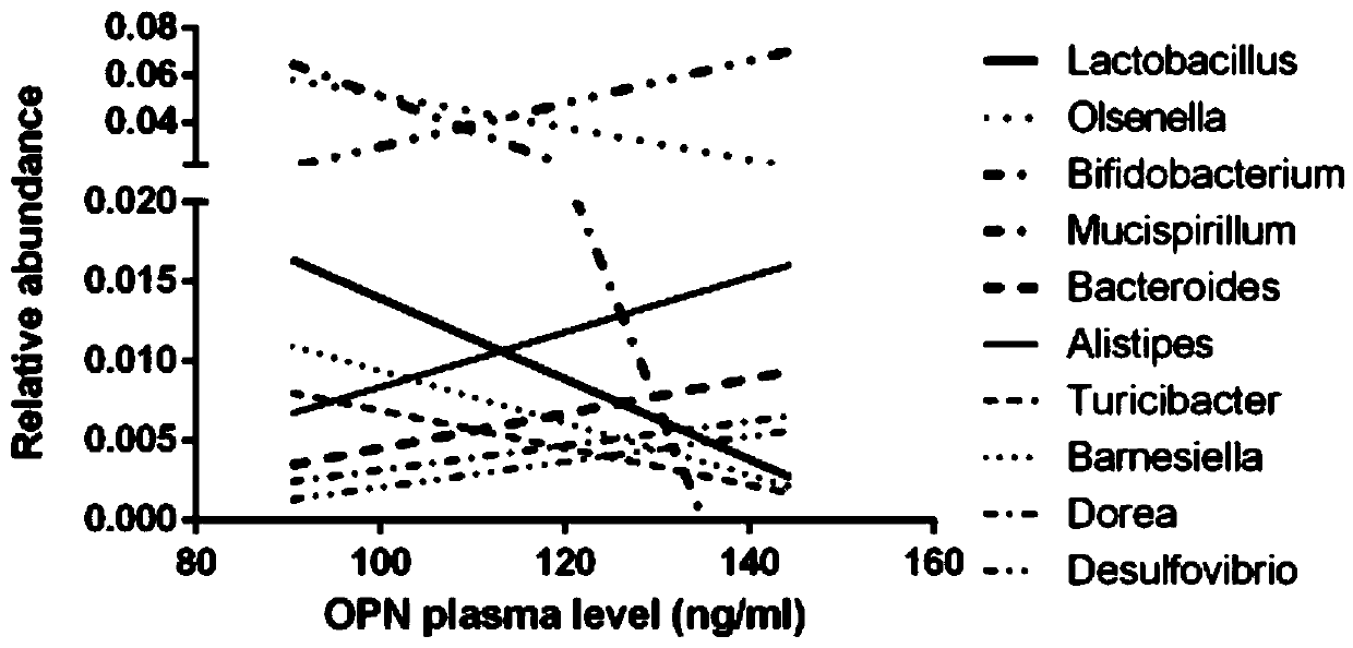 Application of osteopontin as target molecule in regulation of intestinal flora colonization