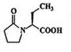 Levetiracetam injection