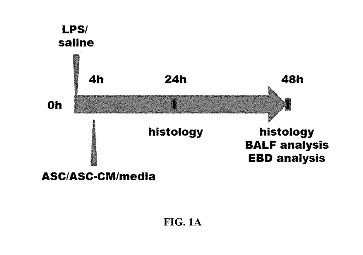 Use of ASC and ASC-CM to treat ARDS, SARS, and MERS