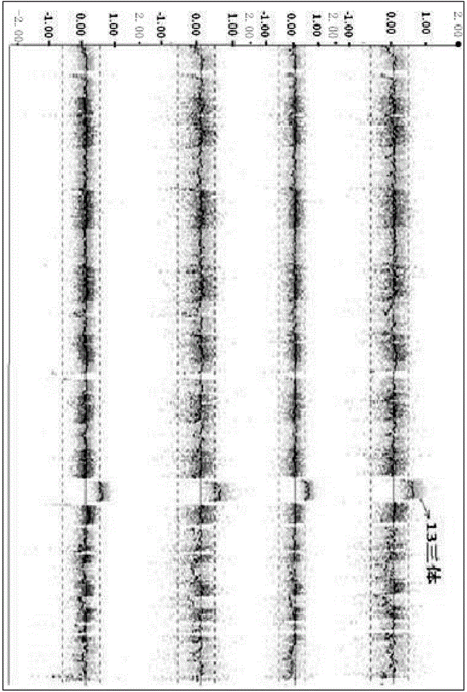 Single cell whole genome amplification method