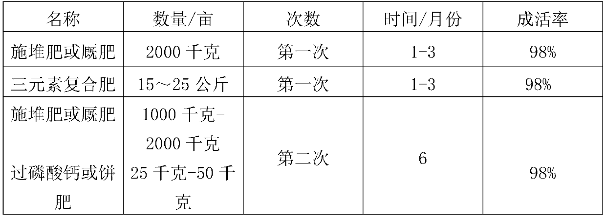 Research method for flue-cured tobacco and salvia crop rotation efficient planting mode