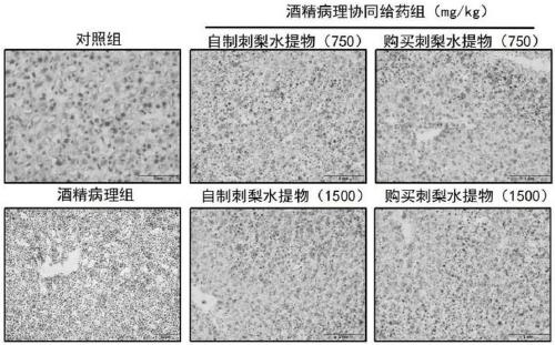 Application of rosa roxburghii aqueous extracts