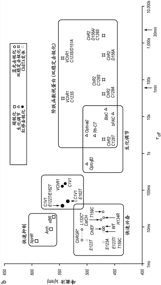 System and method for optogenetic therapy