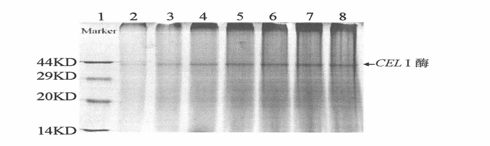 Method for cloning rice complex trait associated gene