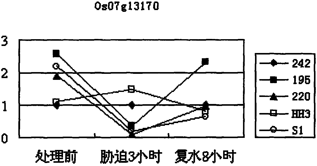 Method for cloning rice complex trait associated gene