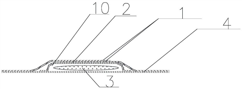 Device for collecting and storing sweat specimens