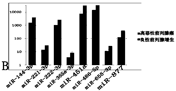 miRNAs (micro ribonucleic acids) used for detecting prostatic cancer