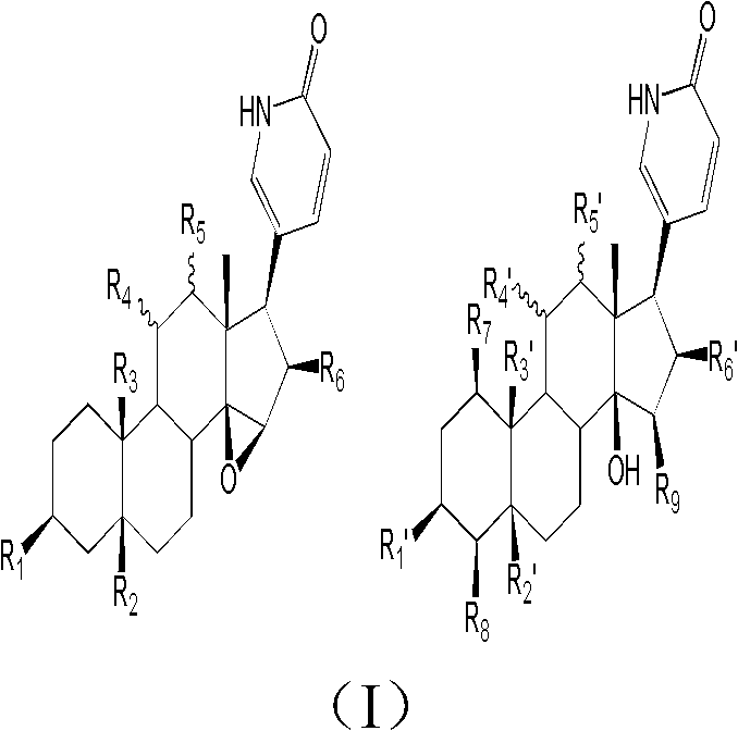 Toad lactam compound as well as preparation method and application thereof