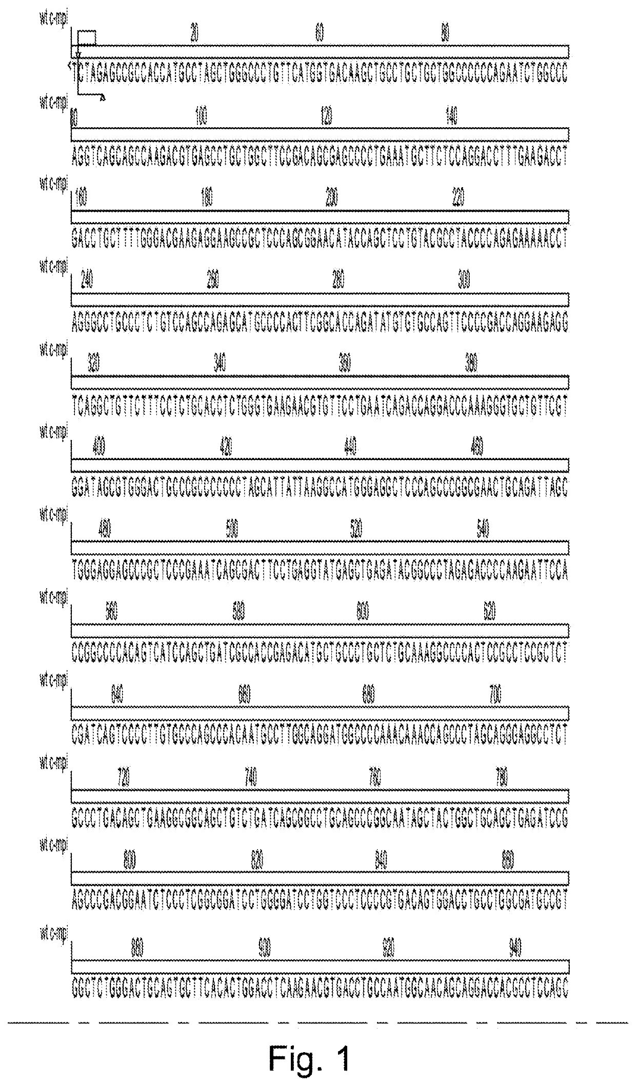 Cells expressing recombinant growth factor receptors