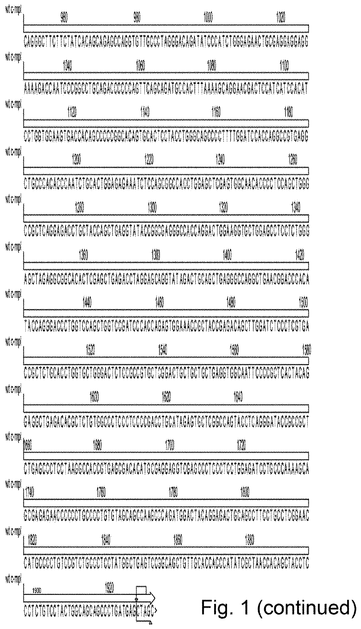 Cells expressing recombinant growth factor receptors