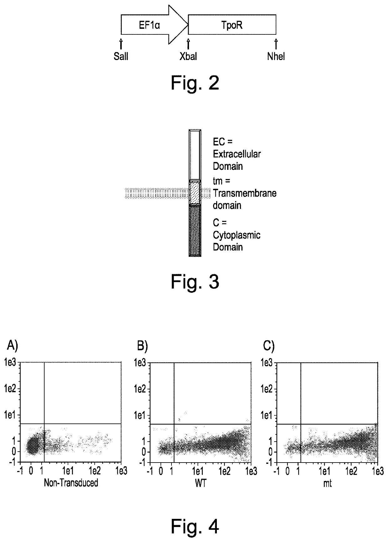 Cells expressing recombinant growth factor receptors