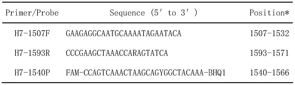 Real-time fluorescence RT-PCR method for quantitatively detecting human-infected avian influenza virus (A/H7N9)