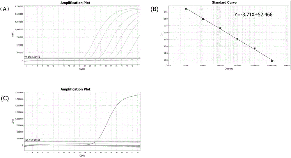 Real-time fluorescence RT-PCR method for quantitatively detecting human-infected avian influenza virus (A/H7N9)