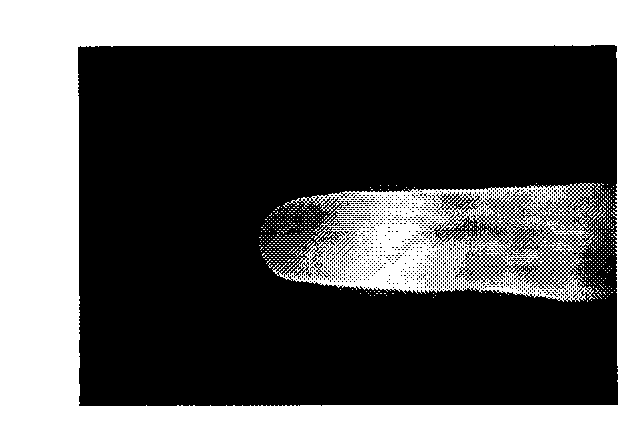 Method for extracting finger vein grain by using directional filtering technique