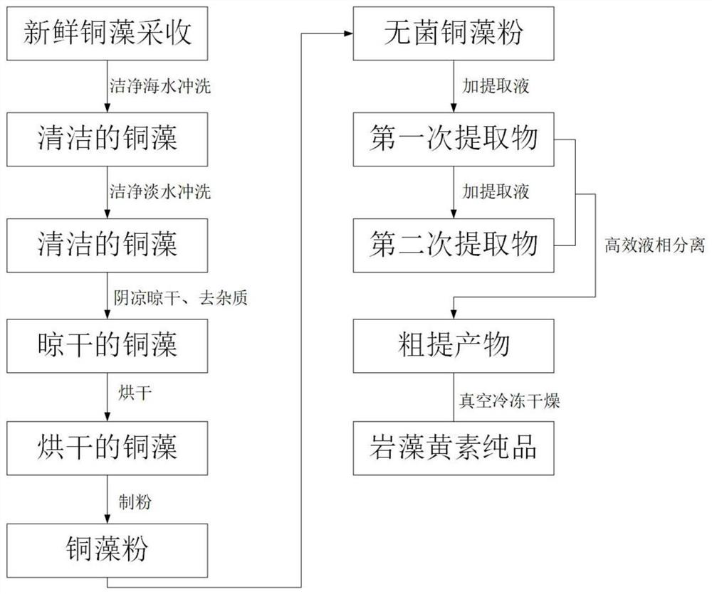 Preparation of copper algae algal powder and extraction method of fucoxanthin in the algal powder