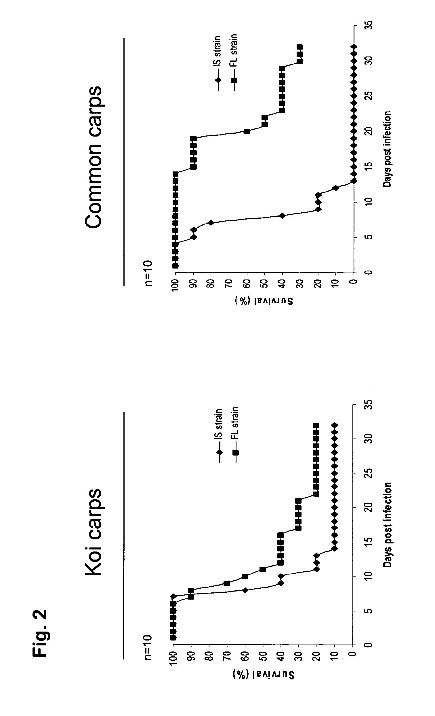 Recombinant koi herpesvirus (KHV) or cyprinid herpesvirus 3 (cyhv-3) and a vaccine for the prevention of a disease caused by khv/cyhv-3 in cyprinus carpio carpio or cyprinus carpio koi