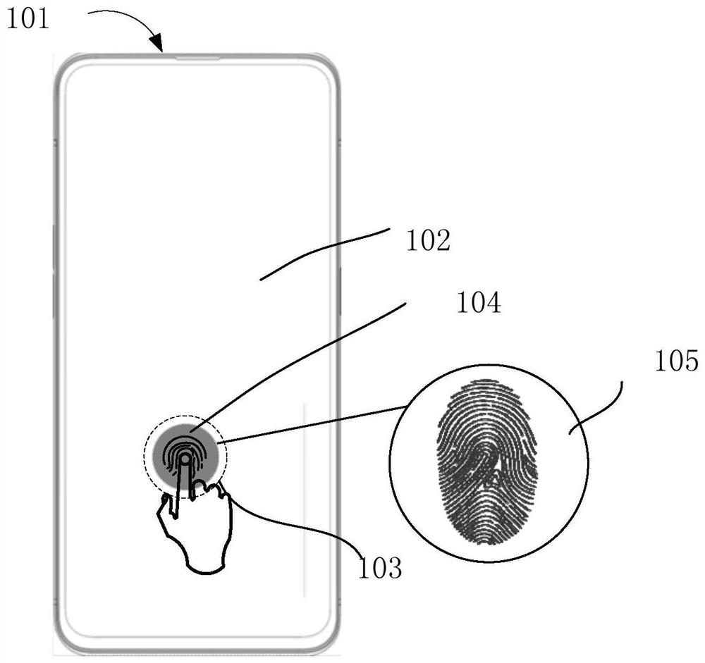 Fingerprint identification method and related device