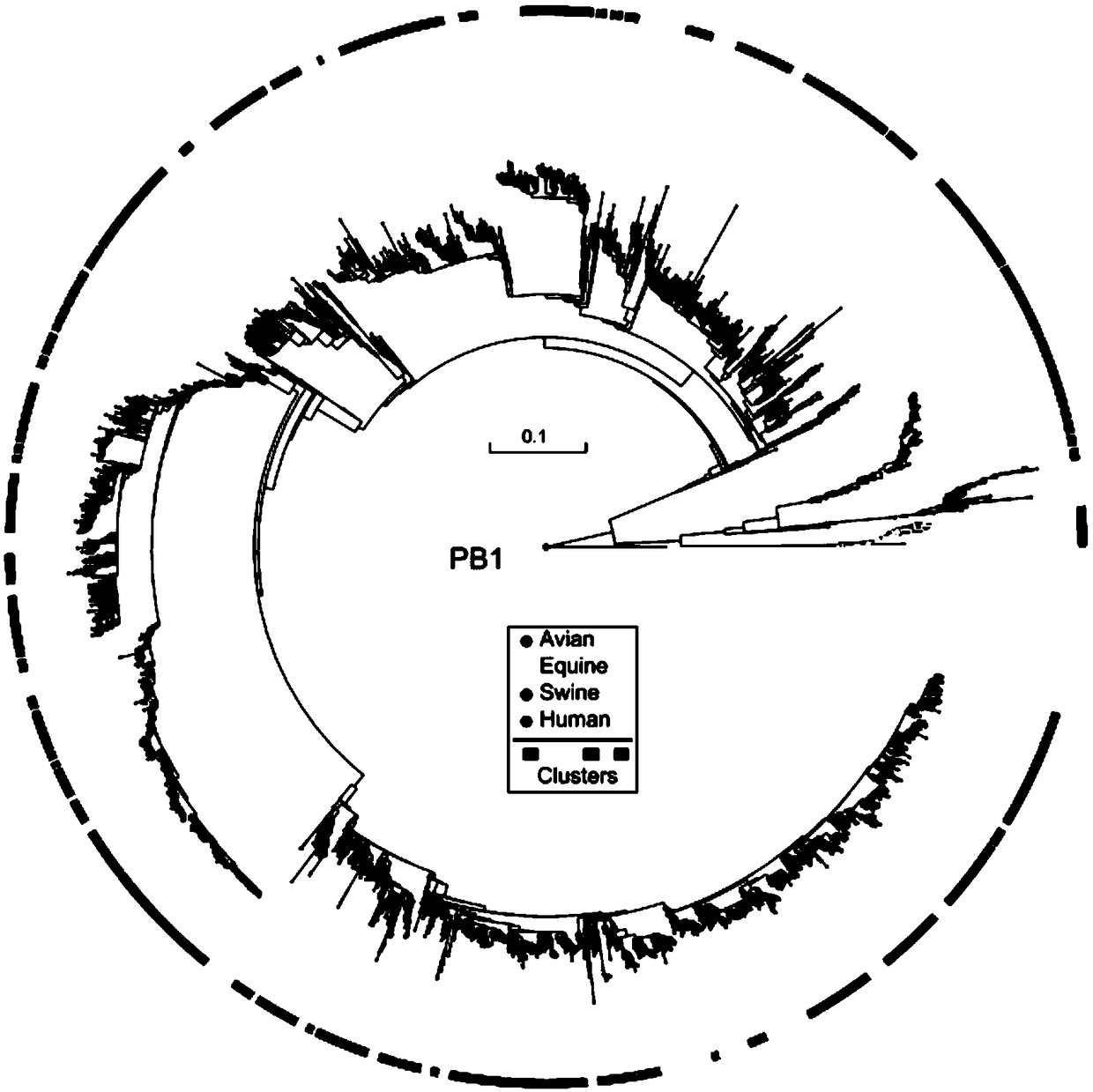 Method for automatically detecting reassortment of segmental RNA (Ribonucleic Acid) virus