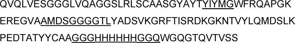 Antigenic epitope displaying method based on single domain antibody