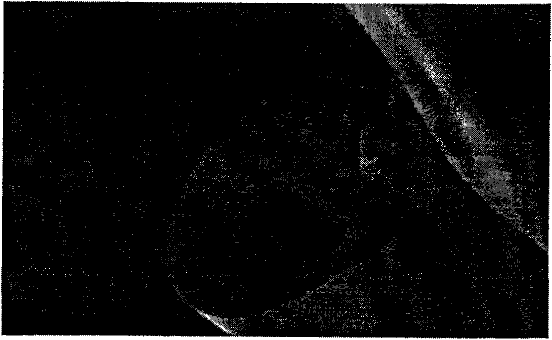 Method for preparing lead zirconate titanate ceramics fibre