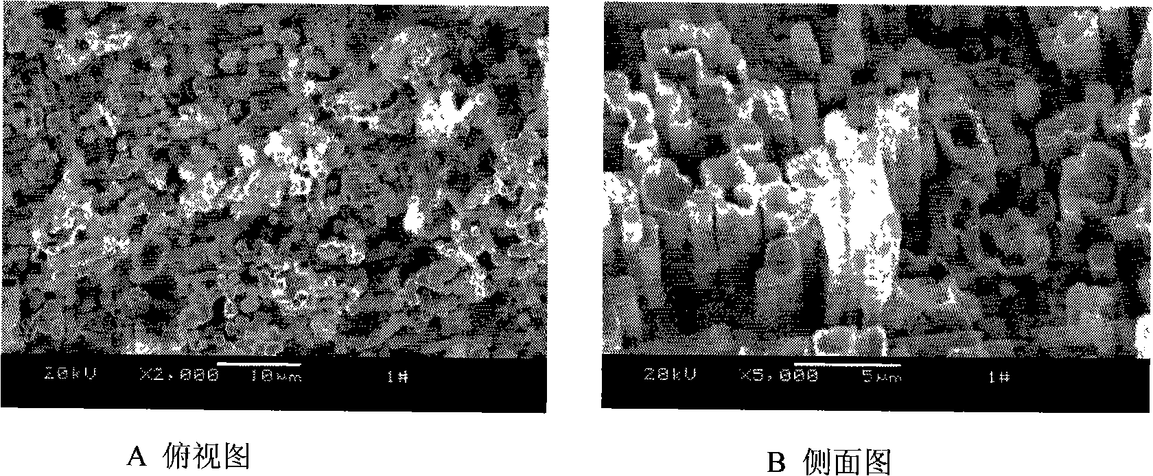 Electroplating method for assembling nano-micrometre array material in metal aluminium stencil