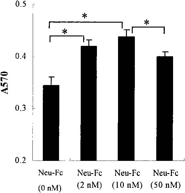 Heterogenetic antigen-Fc fusion protein capable of inducing antitumor immunity of organism and application thereof