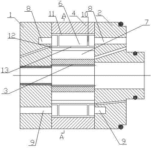 Vane-type hydraulic machine