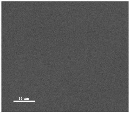 Metal lithium composite negative electrode material and preparation method and application thereof