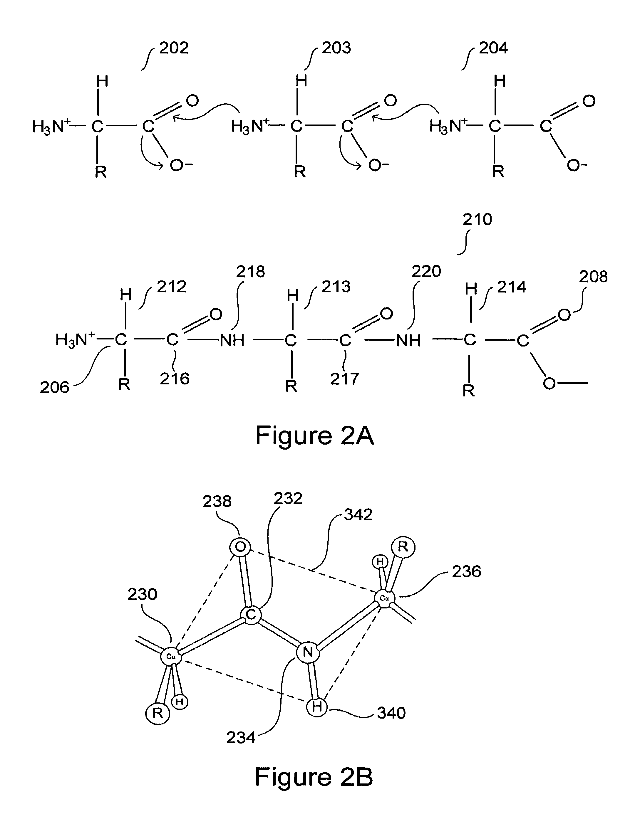 Computationally designed inhibitors of amyloidosis