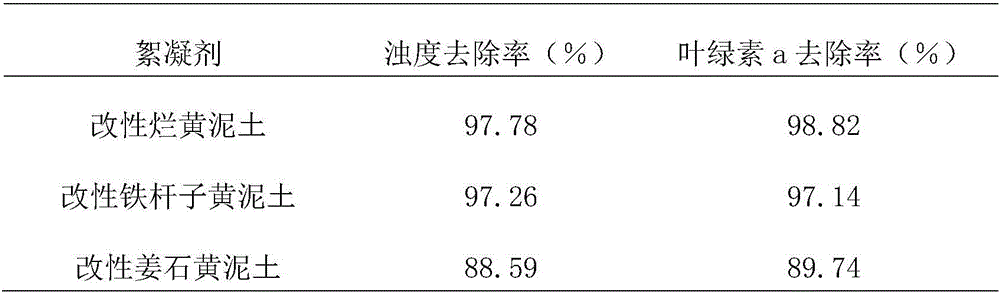 Flocculant for removing Cyanobacteria bloom microcystis, preparation method and applications thereof