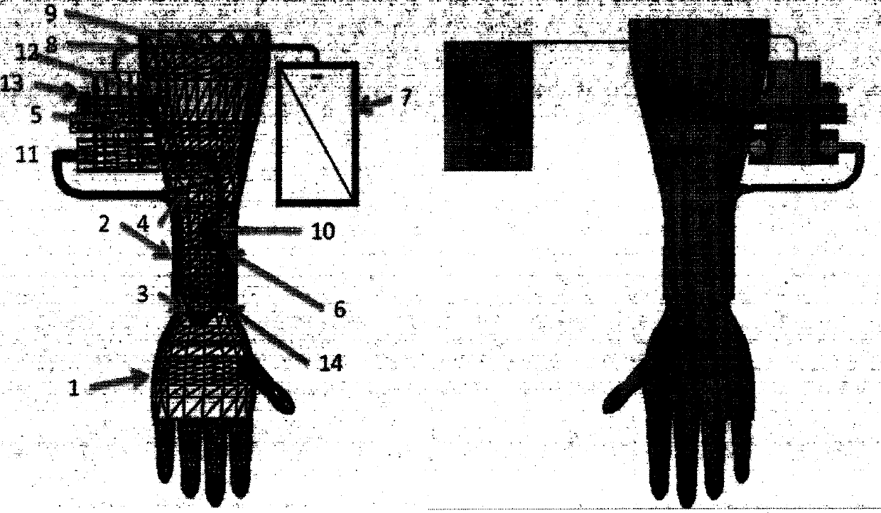 Heart artery induction pulse taking training device and method allowing remote reproduction